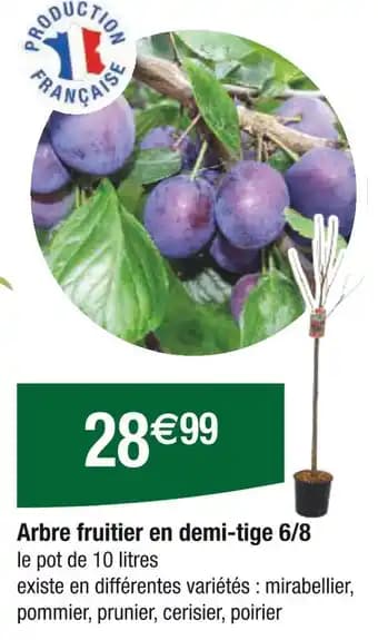 Promotion Exclusives de 4
Fruitier : Découvrez l'Offre incontournable