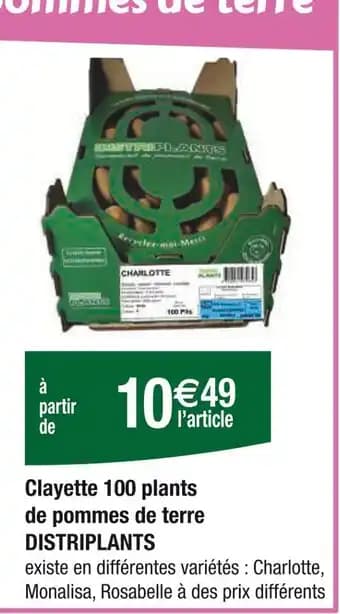 Clayette 100 plants de pommes de terre