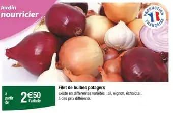 Filet de bulbes potagers