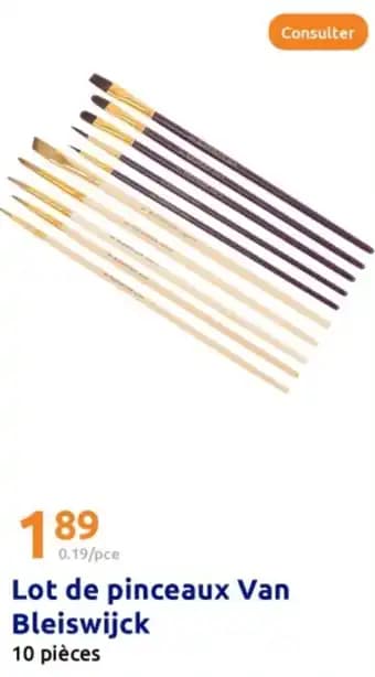 Lot de pinceaux Van Bleiswijck