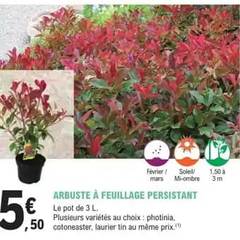 Promotion Exclusives de 2
Feuillage : Découvrez l'Offre incontournable