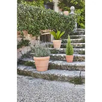 Promotion Exclusives de 12
            
        
        Pot terre cuite : Découvrez l'Offre incontournable