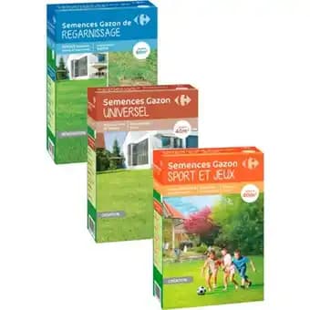 Promotion Exclusives de 7
            
        
        Semences : Découvrez l'Offre incontournable