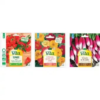 VITA SUR TOUTES LES SEMENCES