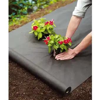 Promotion Exclusives de 8
            
        
        Paillage : Découvrez l'Offre incontournable