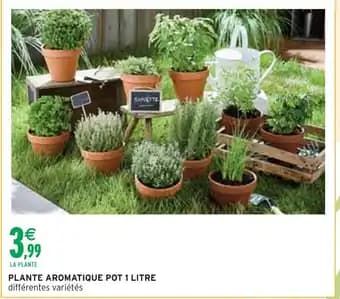 Plante aromatique 1 litre