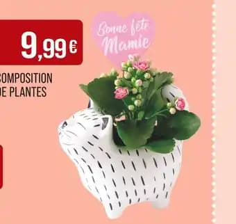 Promotion Exclusives de 38
Plantes : Découvrez l'Offre incontournable