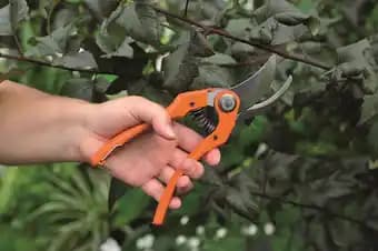 Sécateur traditionnel P121-23F