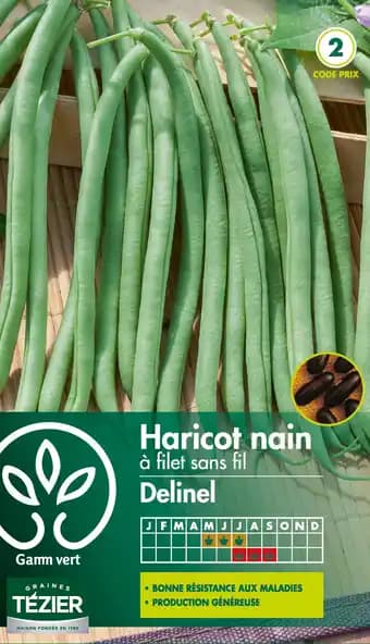 Sélection de légumes secs Gamm Vert