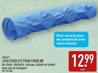 Roméo jeux d'agilité pour chien