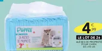 Promotion Exclusives de Alèses : Découvrez l'Offre incontournable