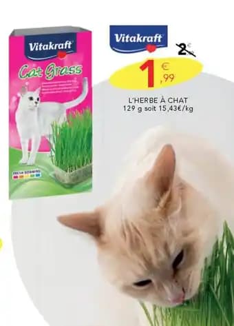 VITAKRAFT L'herbe à chat 129 g