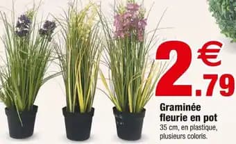 Promotion Exclusives de 5
Fleurie : Découvrez l'Offre incontournable