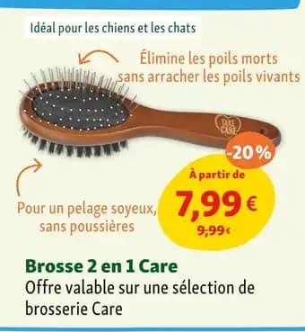 Take Care Brosse 2 en 1