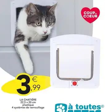 Promotion Exclusives de 1
Chatière : Découvrez l'Offre incontournable