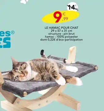 Promotion Exclusives de 76
Pour chat : Découvrez l'Offre incontournable
