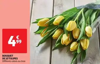 Promotion Exclusives de 52
Bouquet de : Découvrez l'Offre incontournable