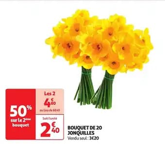 Promotion Exclusives de 5
Jonquilles : Découvrez l'Offre incontournable