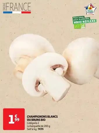 Promotion Exclusives de 8
Champignons : Découvrez l'Offre incontournable