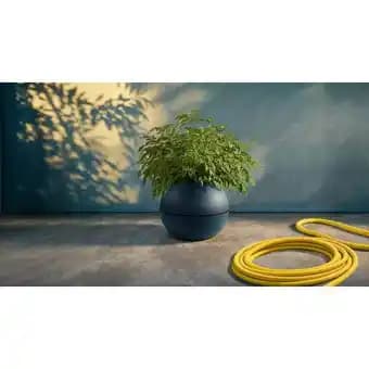 Promotion Exclusives de 37
Fleur : Découvrez l'Offre incontournable