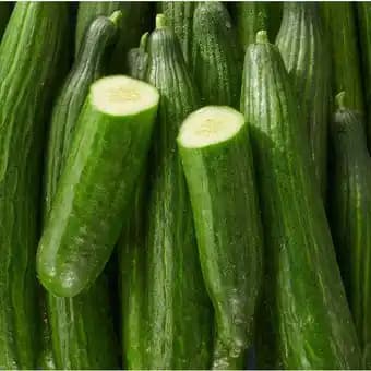 Promotion Exclusives de 5
Concombre : Découvrez l'Offre incontournable