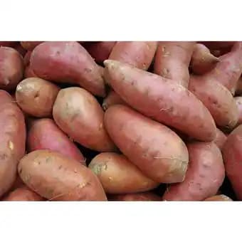 Promotion Exclusives de 3
Patate douce : Découvrez l'Offre incontournable