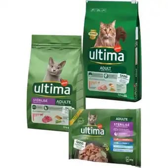 Promotion Exclusives de 4
Ultima pour chat : Découvrez l'Offre incontournable