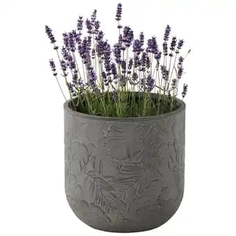 ECLOZ Pot Chester ECLOZ