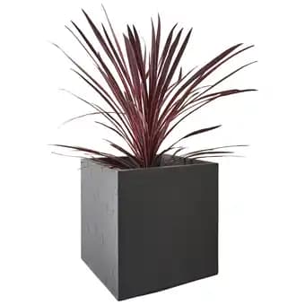 ECLOZ Bac carré décoratif ECLOZ