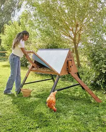 PURE FAMILY Poulailler L'Ino PURE FAMILY