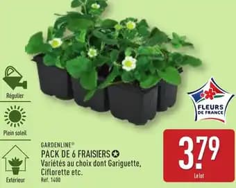 Promotion Exclusives de 7
Fraisiers : Découvrez l'Offre incontournable
