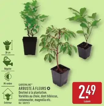 Promotion Exclusives de 2
Arbuste à fleurs : Découvrez l'Offre incontournable