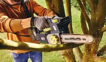 Promotion Exclusives de Elagueuse à batterie : Découvrez l'Offre incontournable