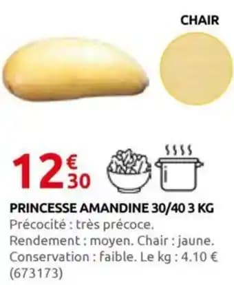 Promotion Exclusives de 2
Princesse : Découvrez l'Offre incontournable