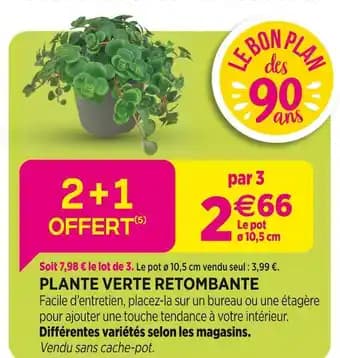 Promotion Exclusives de 30
Plante : Découvrez l'Offre incontournable