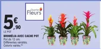 Promotion Exclusives de 12
Cache pot : Découvrez l'Offre incontournable