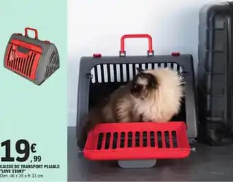 Promotion Exclusives de 1
Caisse pliable : Découvrez l'Offre incontournable