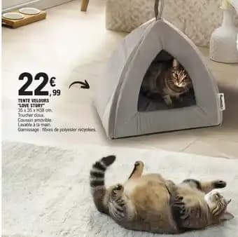 Promotion Exclusives de 6
Tente : Découvrez l'Offre incontournable