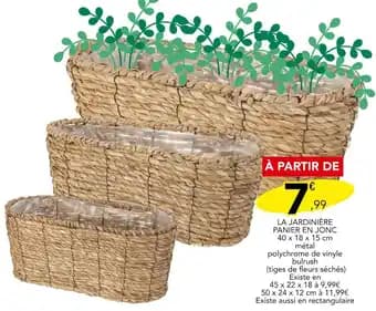 Promotion Exclusives de 33
Jardinière : Découvrez l'Offre incontournable