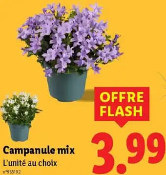 Promotion Exclusives de 29
Mix : Découvrez l'Offre incontournable