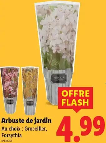 Promotion Exclusives de Arbuste de jardin : Découvrez l'Offre incontournable