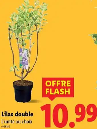 Promotion Exclusives de 2
Lilas : Découvrez l'Offre incontournable