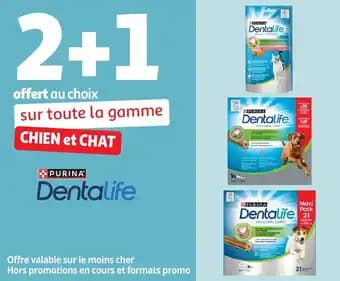 Promotion Exclusives de 28
Chien : Découvrez l'Offre incontournable