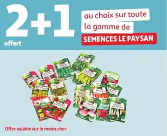 Promotion Exclusives de 5
Le paysan : Découvrez l'Offre incontournable