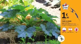 Promotion Exclusives de 3
Plant : Découvrez l'Offre incontournable