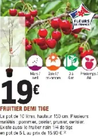 Promotion Exclusives de 15
Tige : Découvrez l'Offre incontournable