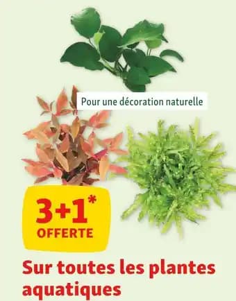 Promotion Exclusives de 69
Plantes : Découvrez l'Offre incontournable