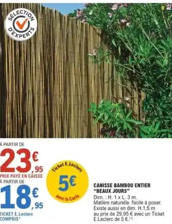 Promotion Exclusives de 14
Bambou : Découvrez l'Offre incontournable