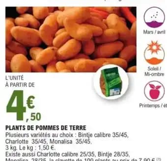 Promotion Exclusives de 79
De pommes : Découvrez l'Offre incontournable
