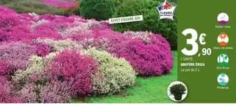 Promotion Exclusives de 25
Bruyère : Découvrez l'Offre incontournable